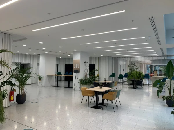 Foyer%252520RDC.jpg